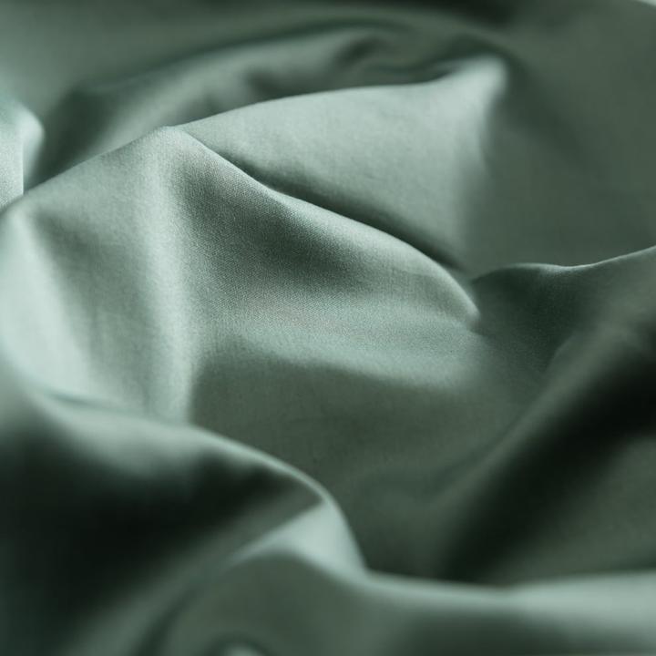 Actual product image Johann Jakob Sora (Pillowcase, 50 x 70 cm)