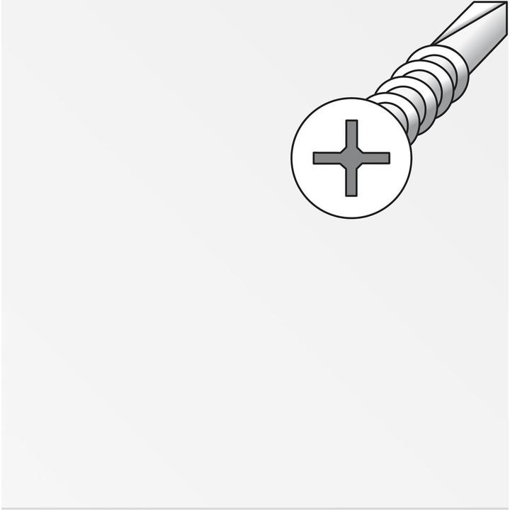 Actual product image Alfer Countersunk screw steel 9.5mm