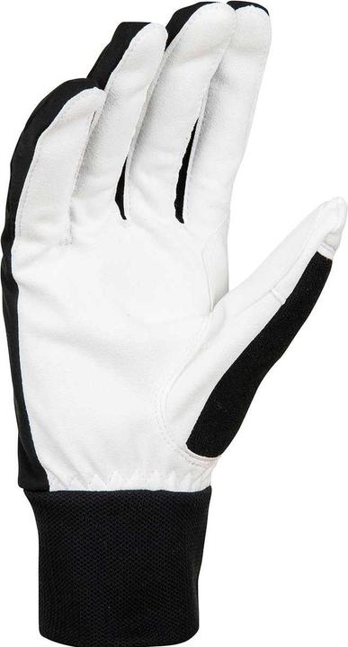 Produktbild Daehlie M Glove Race Warm (7)