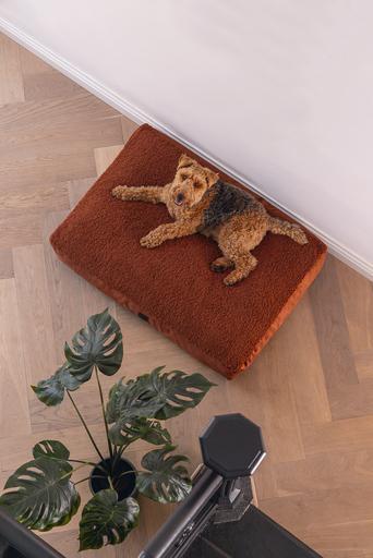 Produktbild Designed by Lotte Liegekissen Ribbed (Hund)