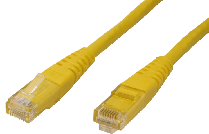 Image du produit Roline Câble réseau (UTP, CAT6, 0.50 m)