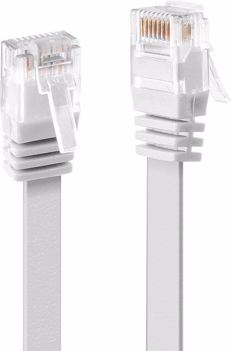 Productafbeelding Lindy Netwerkkabel (UTP, CAT6, 3 m)