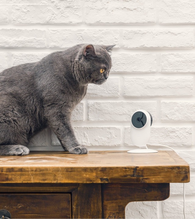 Immagine prodotto Xiaomi Mi Home Security Camera Basic 1080p Home Security Camera 1080p (1920 x 1080 Pixels)