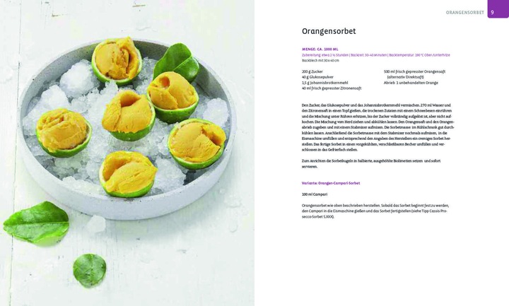 Image du produit Die Eis-Bibel (Allemand, Yüksel Saier, Christian Reinhardt, 2020)