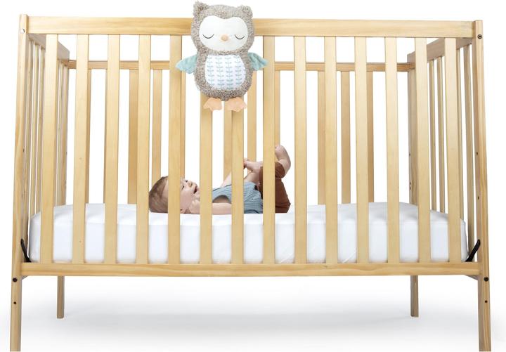 Produktbild Ingenuity Snuggle Sounds™ Kuscheltier mit Bluetooth-Lautsprecher - Eule Nally™ (22.86 cm)