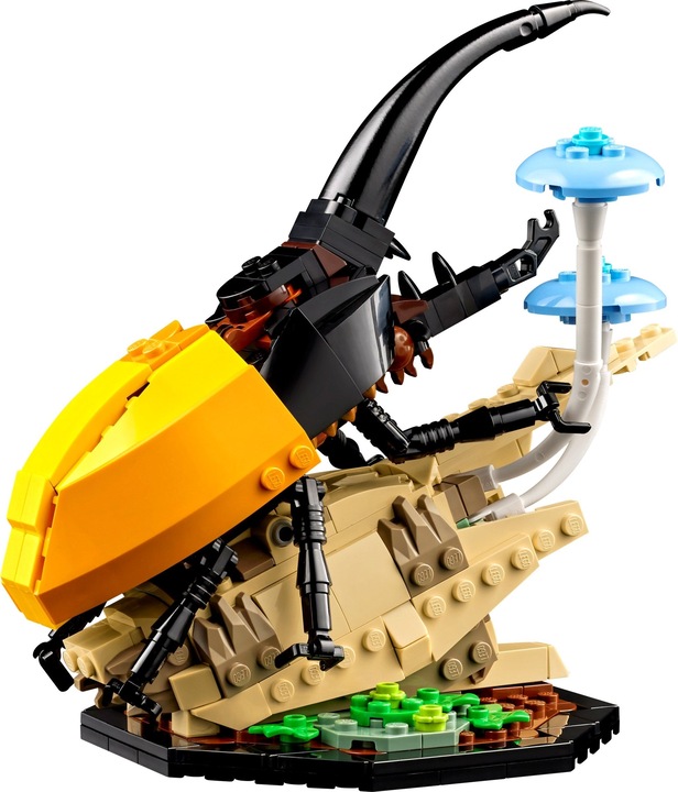 Actual product image LEGO Ideas The insect collection (21342, LEGO Ideas)