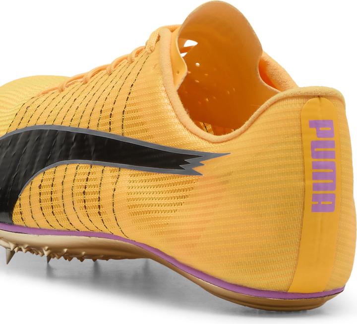 Image du produit Puma evoSPEED BRUSH 6 (42.5)