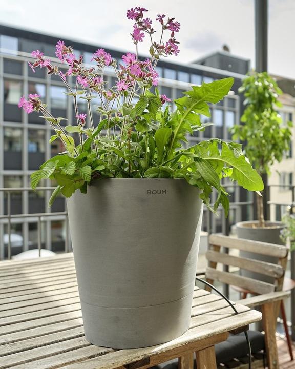 Produktbild Boum Topf