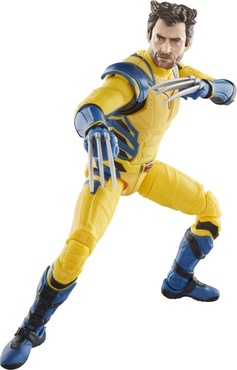 Image du produit Hasbro Marvel - Wolverine The Black Series