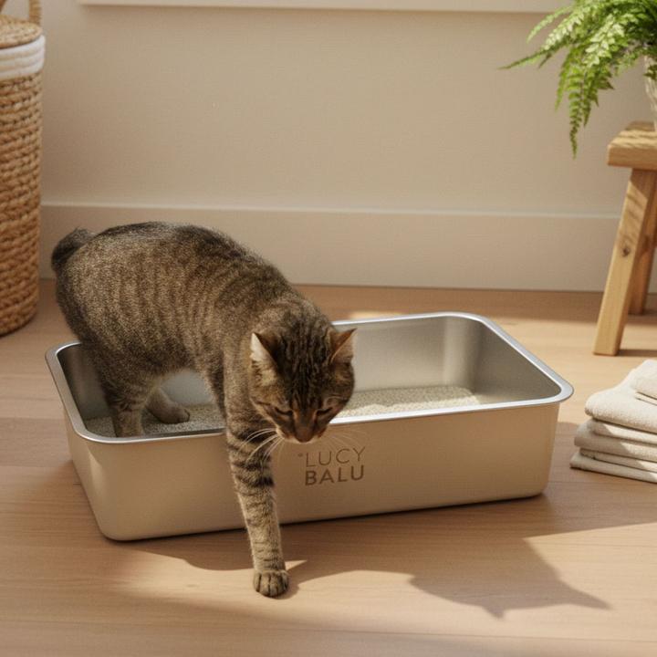 Produktbild LucyBalu Steeloo (Katzenklo offen)