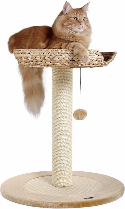 Immagine prodotto Karlie Foglia di banana 1 (68.50 cm, Beige)