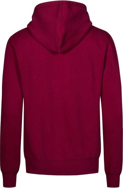 Produktbild Promodoro Kapuzenpullover (M)