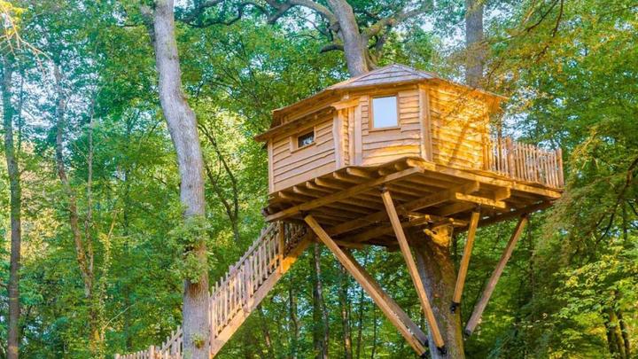 Actual product image Tree house overnight stay
