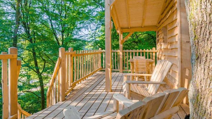 Actual product image Tree house overnight stay