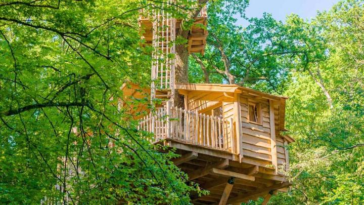 Actual product image Tree house overnight stay