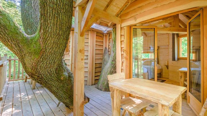 Actual product image Tree house overnight stay
