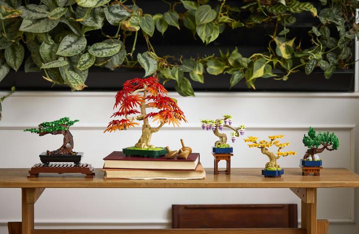 Produktbild LEGO Mini-Bonsais Set (10373, LEGO Botanicals)