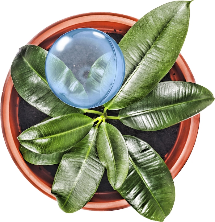 Actual product image Relaxdays 5x irrigation ball (Irrigation balls)