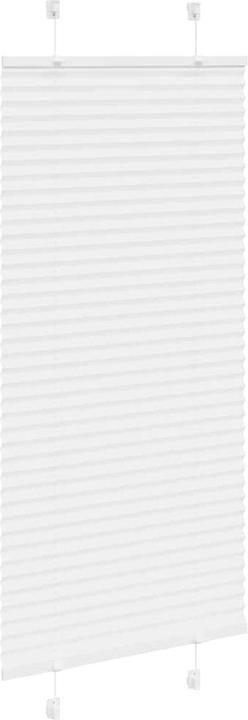 Immagine prodotto vidaXL Plissee (65 x 100 cm)