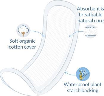 Actual product image Natracare Maxi (10 x, Sanitary pads)