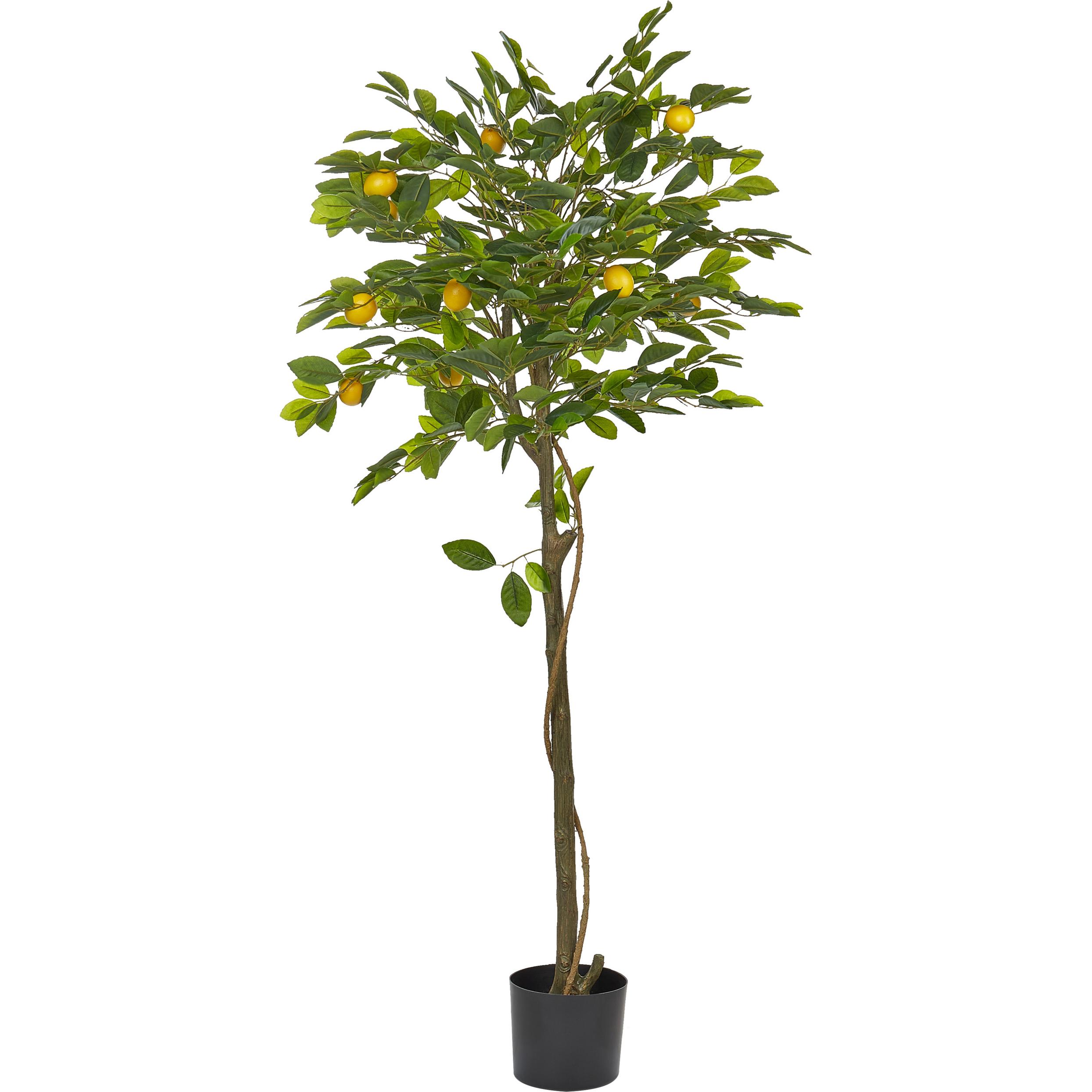 Beliani, Kunstpflanzen, Lemon Tree (156 cm)