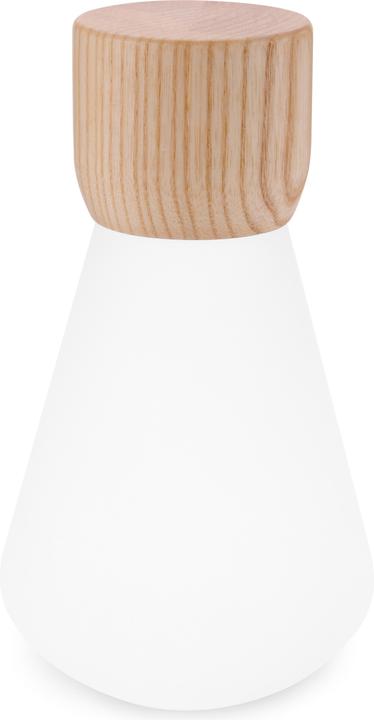 Image du produit Gingko Pentagon Desk Bulb