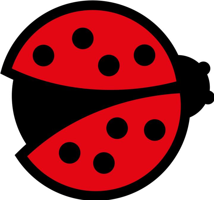 Produktbild Bügelbilder Schul & Freizeitsrucksack-Set Marienkäfer (15 l)