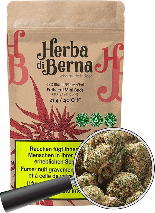 Produktbild Herba di Berna Erdbeerli Mini Buds (42 g, Indoor)