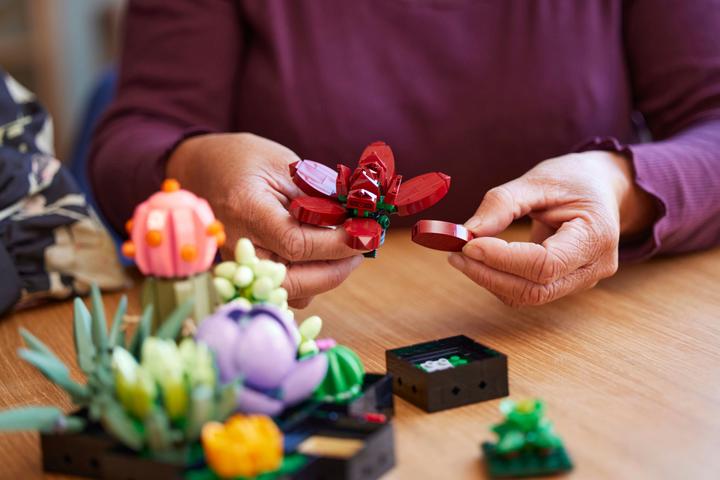 Image du produit LEGO Les succulentes (10309, LEGO Botanical, LEGO difficiles à trouver)