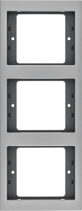 Actual product image Berker Frame