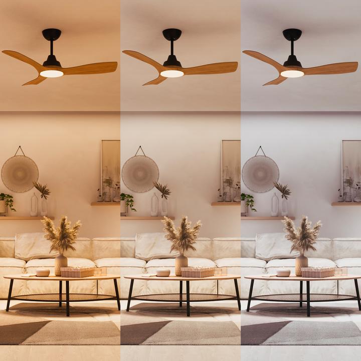 Immagine prodotto Philips Olas