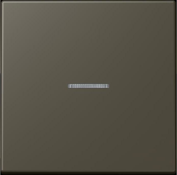 Actual product image JUNG Button