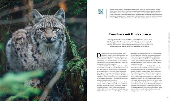 Actual product image Wilder Wald (German, Alexandra von Poschinger, 2020)