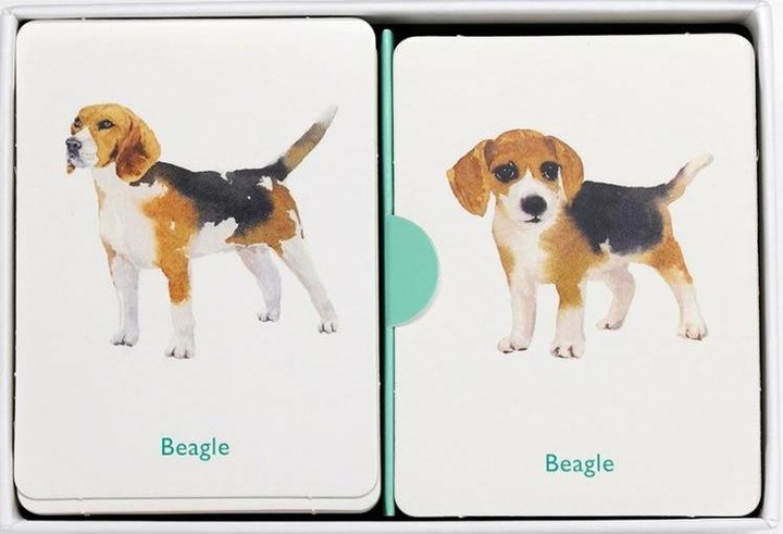Produktbild Memory Hunde und ihre Welpen (Deutsch)