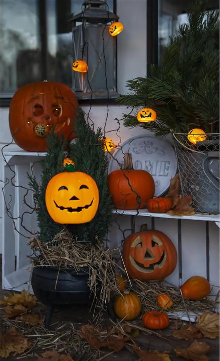 Immagine prodotto Star Trading Zucche di Halloween (2.10 m)