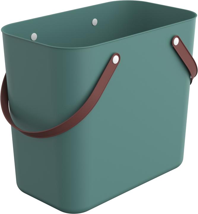Mistletoe green