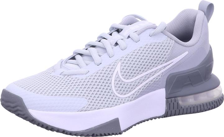 Image du produit Nike Air Max Alpha Trainer 6 (45)