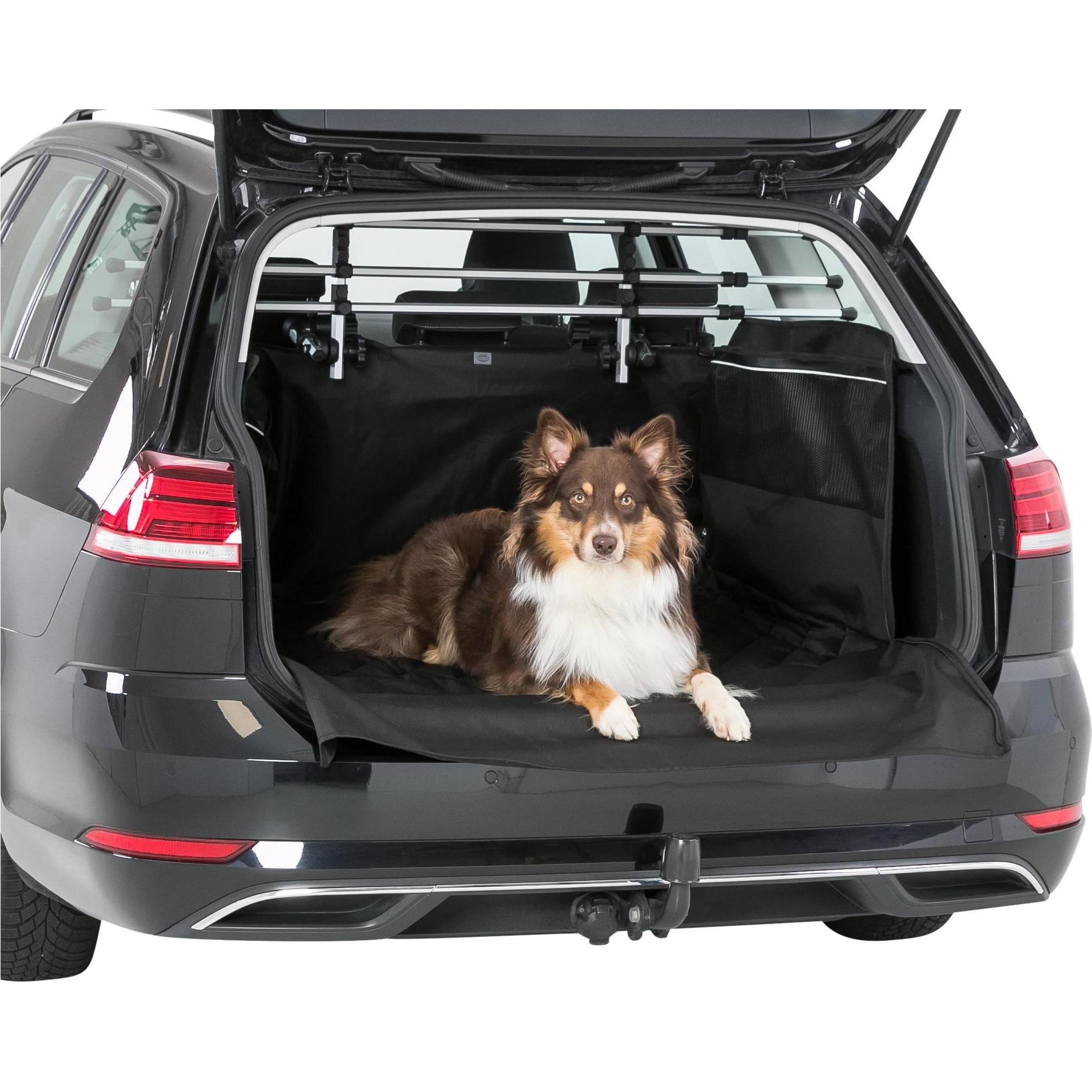 Meilleurs prix pour Protège-coffre de voiture