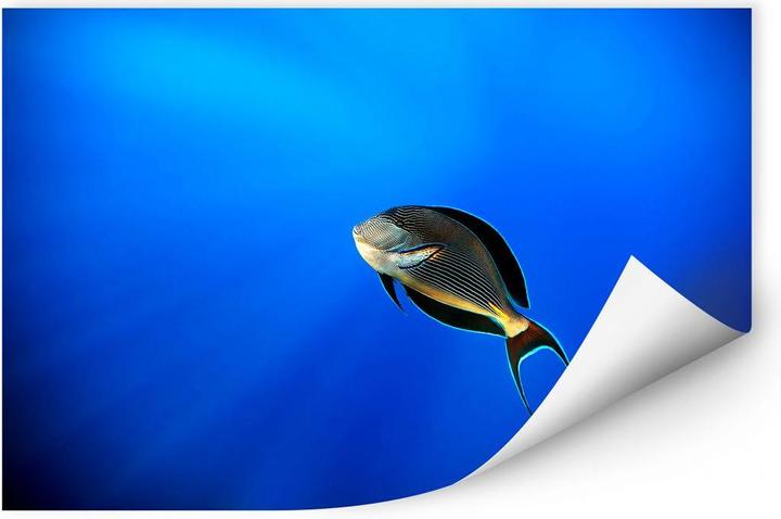 Produktbild Trenddeko Catta - Deep Ocean (30 x 20 cm)