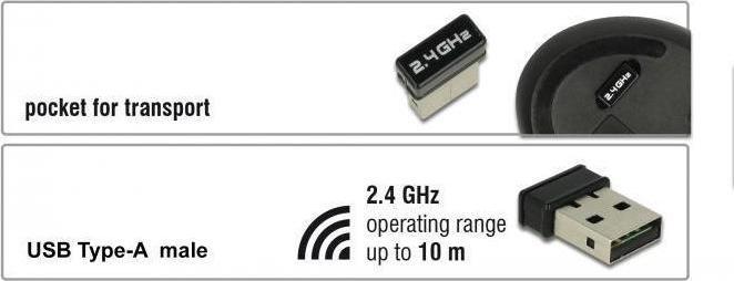 Actual product image Delock 12528 5 buttons mouse WIRELESS, red (Wireless)