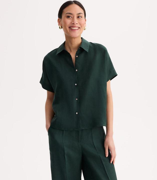 Verde scuro