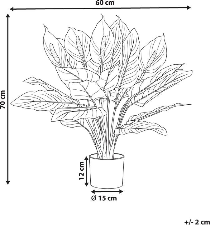 Produktbild Beliani Spathphyllum (70 cm)