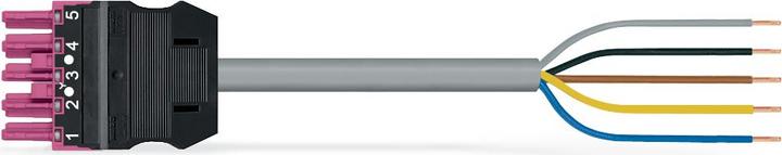 Actual product image Wago confect. Connection cable (4 m)