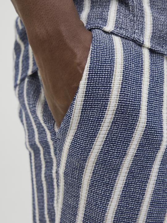 Produktbild Jack & Jones Jpstjaiden Coba Stripe Jog Short Sn Pls (46)