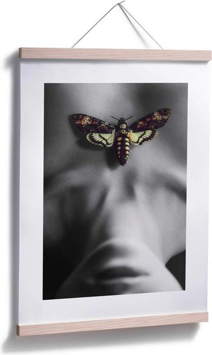 Immagine prodotto Trenddeko La falena (50 x 60 cm)