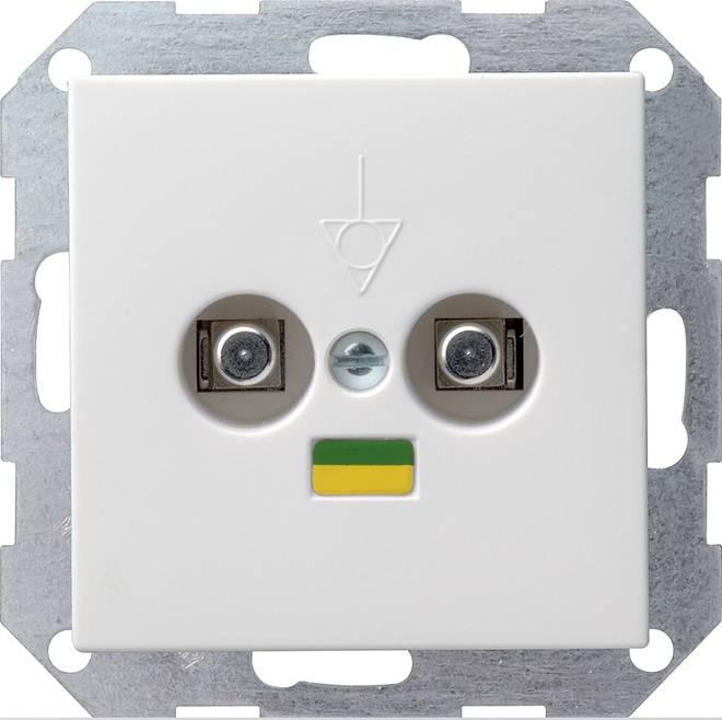 Gira Potenzialausgleich-Dose 2f System 55 040527