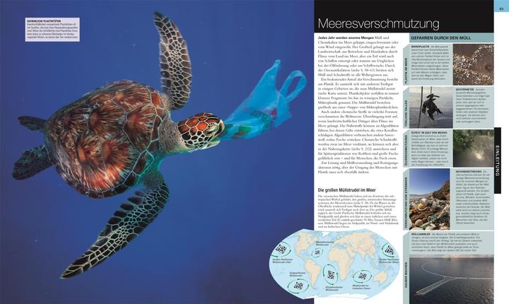Actual product image Ozeane. DK Bibliothek (German, Kim Dennis-Bryan, David Bernie, Stephan Matthiesen, Eva Sixt, Michael Kokoscha, 2023)
