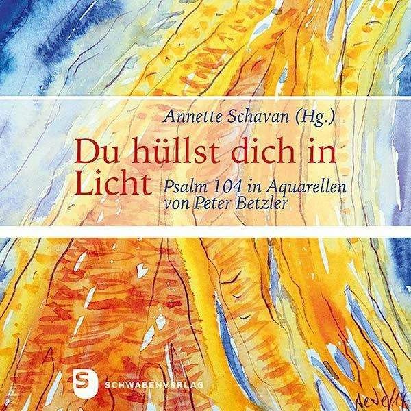 Du hüllst dich in Licht, Sachbücher von Annette Schavan
