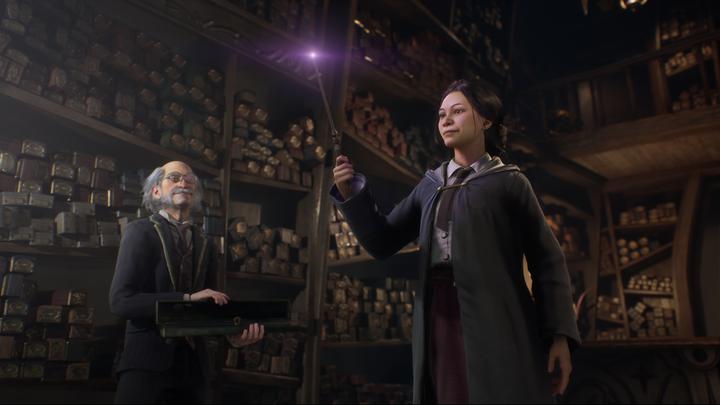 Produktbild WB Hogwarts Legacy (PS4, EN)