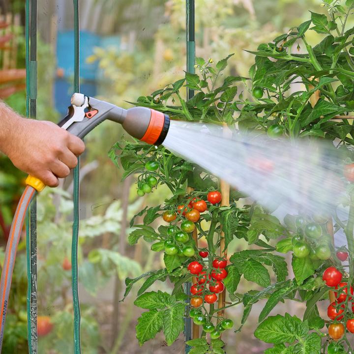 Produktbild Relaxdays Tomatengewächshaus
